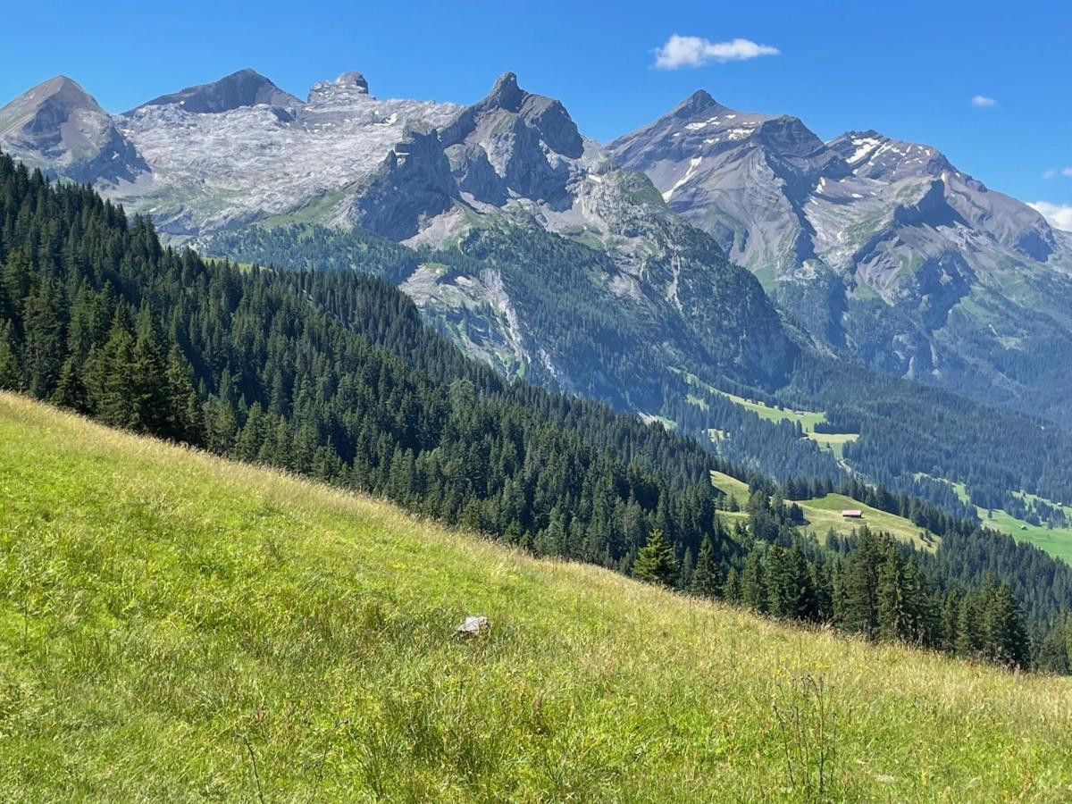 Alpen Charme - Chalet D'Hotes Et Spa Гштайг Экстерьер фото